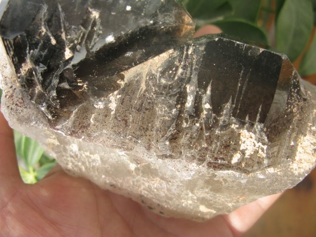 tibetan black RUTILATED Crystal QUARTZ ROUGH GEM  